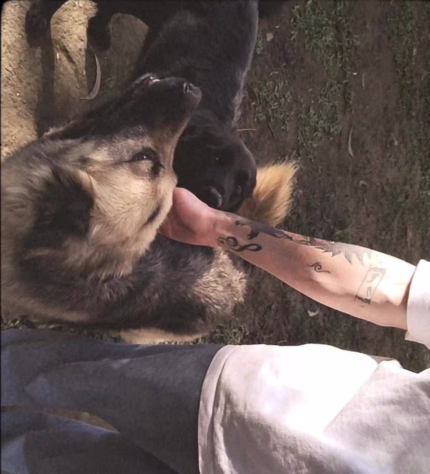 imagem de Pablo Teixeira